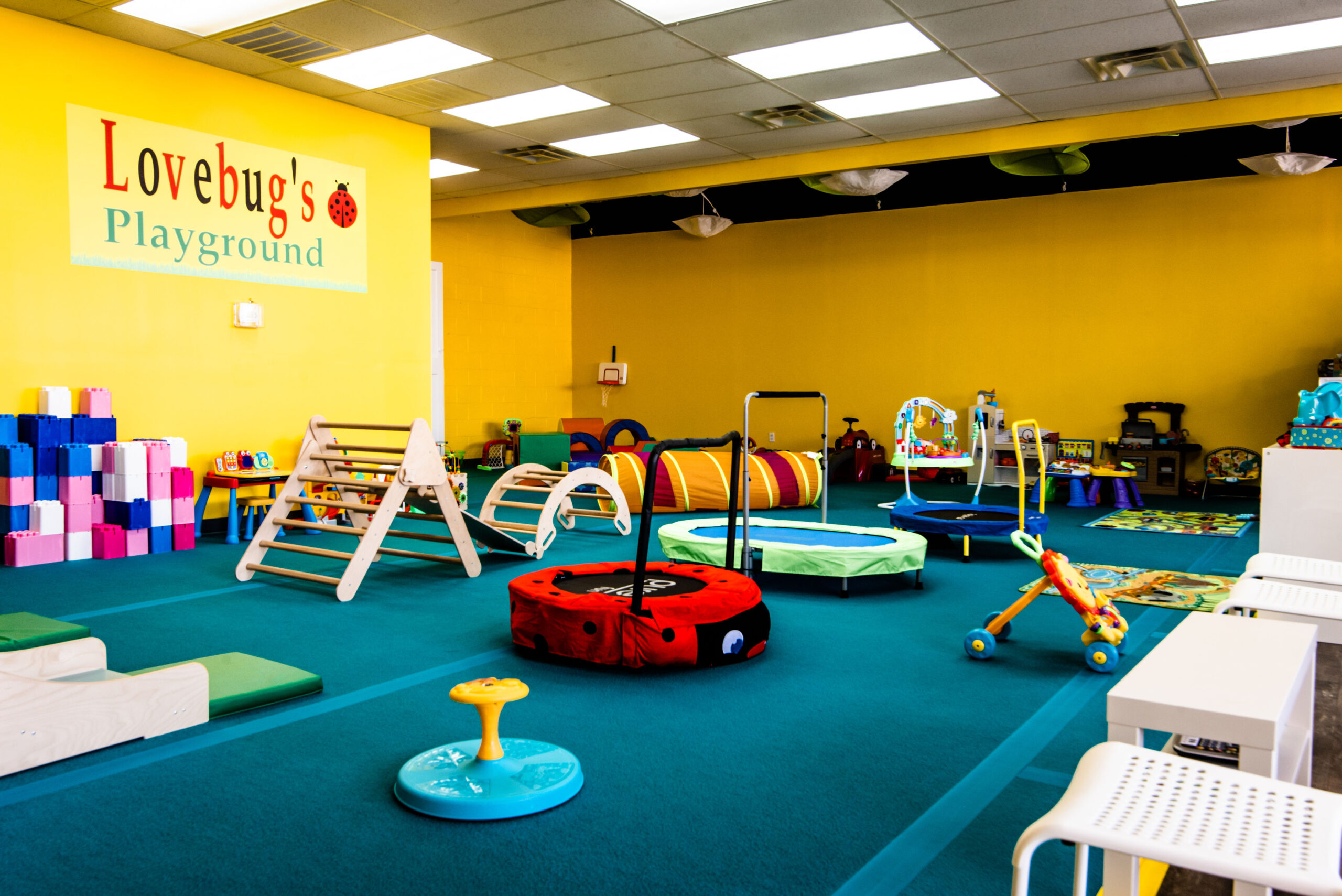 Many trampolines and other jumping and bouncing toys, plus tons of climbing equipment